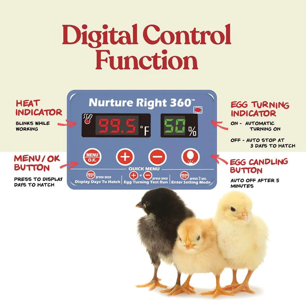 Egg Incubator for Hatching Chicks, Holds 12-22 Eggs, Automatic Turner with Temperature and Humidity Control, 360 Degree View with Clear Window, Incubator for Chickens1 pcs
