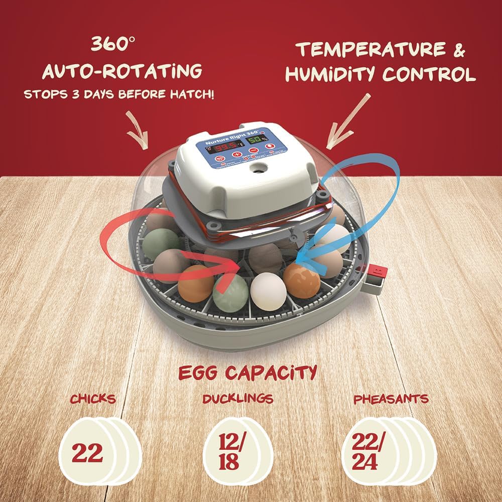 Egg Incubator for Hatching Chicks, Holds 12-22 Eggs, Automatic Turner with Temperature and Humidity Control, 360 Degree View with Clear Window, Incubator for Chickens1 pcs