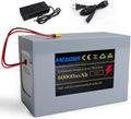 72V 60Ah Lithium E-Bike Battery with LED, XT90 Connector
