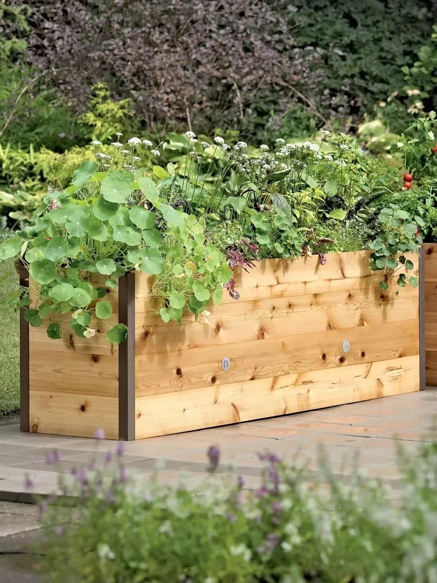 EcoStained Self-Watering Raised Planter Box with Aluminum Legs, Cedar/Cypress, 96   x24   x29